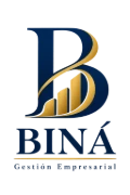 BINÁ - Portal de Clientes